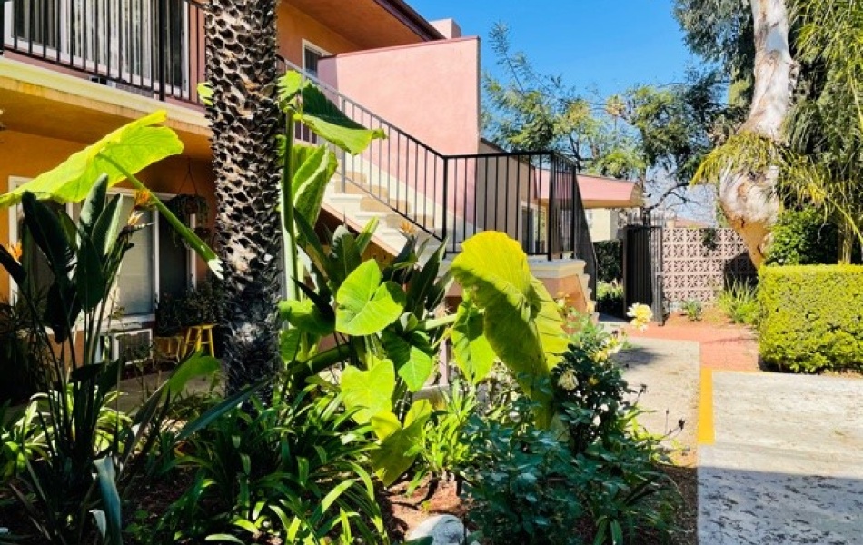 1810 Sallie, Anaheim, CA 92804, 1 Bedroom Bedrooms, ,1 BathroomBathrooms,Apartment,For Rent,Sallie,1007