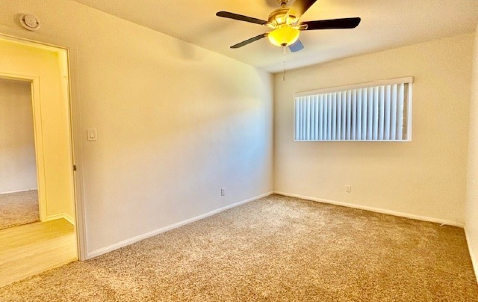 1810 Sallie, Anaheim, CA 92804, 1 Bedroom Bedrooms, ,1 BathroomBathrooms,Apartment,For Rent,Sallie,1007