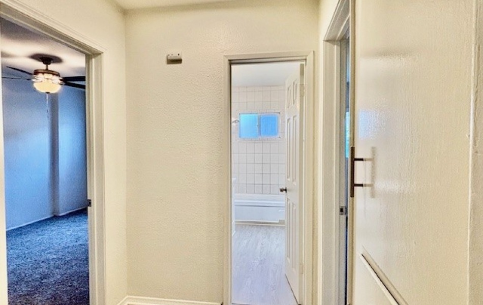 1810 Sallie, Anaheim, CA 92804, 1 Bedroom Bedrooms, ,1 BathroomBathrooms,Apartment,For Rent,Sallie,1007