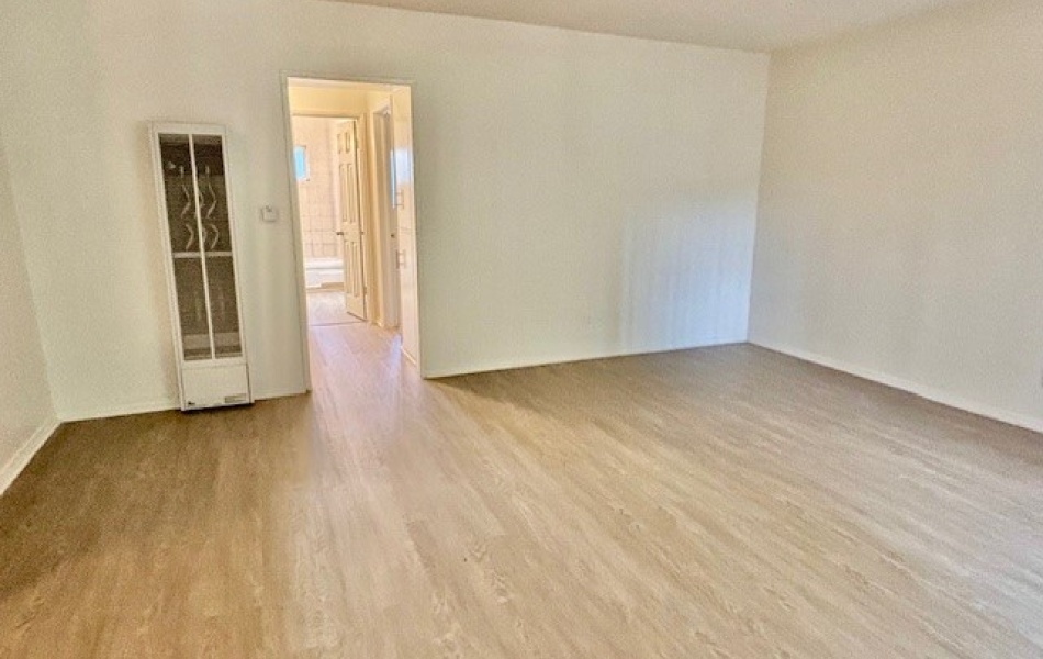 1810 Sallie, Anaheim, CA 92804, 1 Bedroom Bedrooms, ,1 BathroomBathrooms,Apartment,For Rent,Sallie,1007