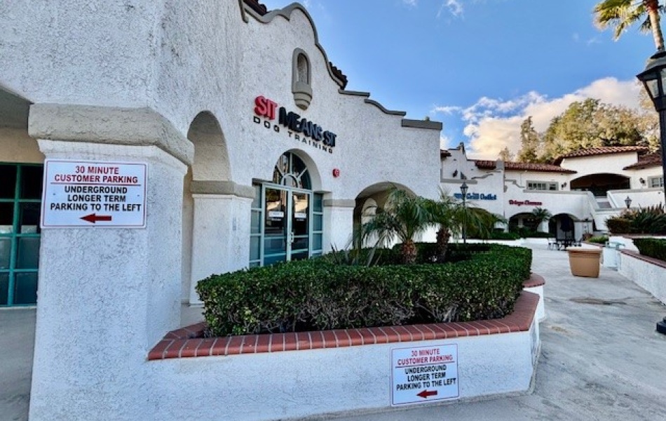 27184 Ortega Highway, San Juan Capistrano, CA 92675, ,Office,For Rent,Ortega Highway,1133