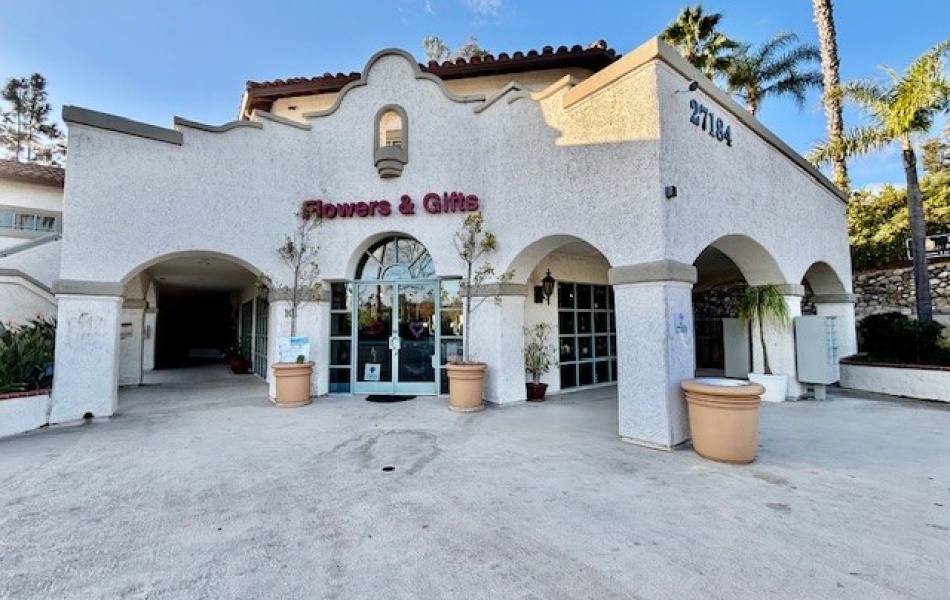 27184 Ortega Highway, San Juan Capistrano, CA 92675, ,Office,For Rent,Ortega Highway,1133