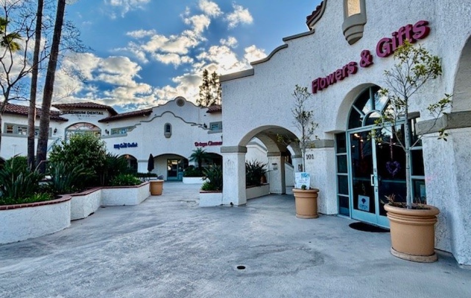 27184 Ortega Highway, San Juan Capistrano, CA 92675, ,Office,For Rent,Ortega Highway,1133