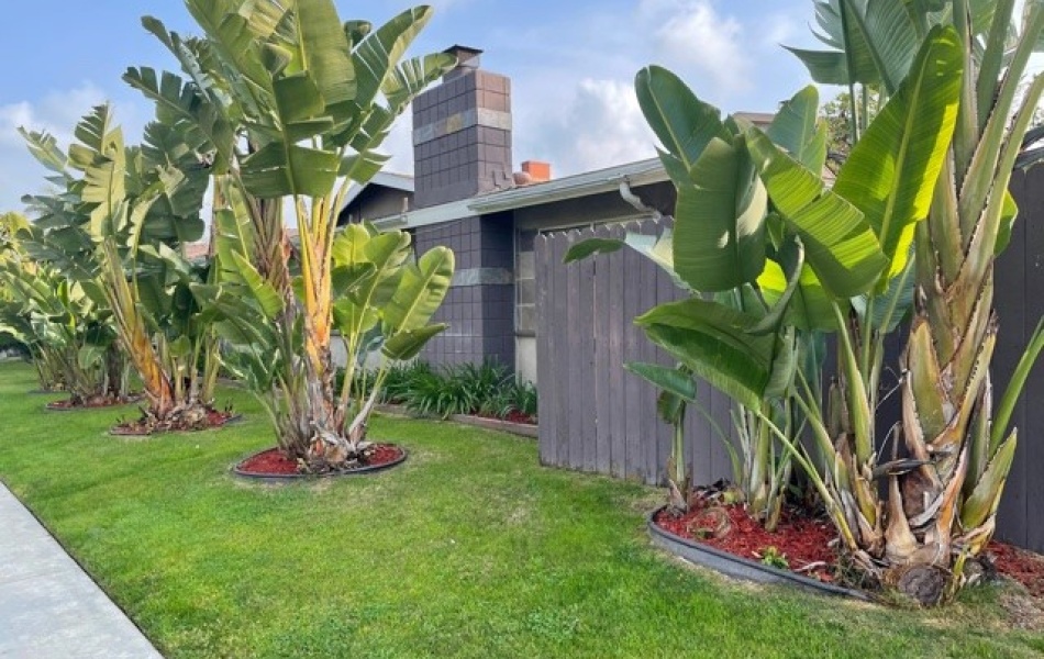 3- bedrooms 2 bathrooms; Huntington Beach; apartments