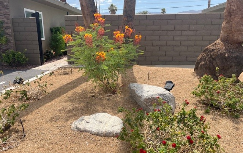 45421 Sunset Lane, Palm Desert, CA 92260, 2 Bedrooms Bedrooms, ,1 BathroomBathrooms,Apartment,For Rent,Sunset Lane,1181