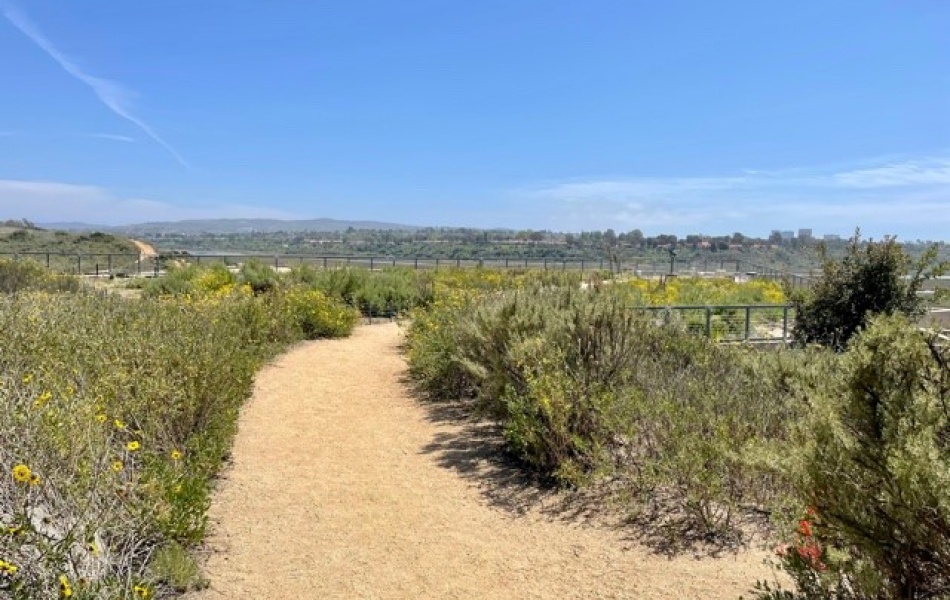 1985 Pomona, Costa Mesa, CA, 2 Bedroom Bedrooms, ,2 BathroomBathrooms,Townhouse,For Rent,Pomona,1024