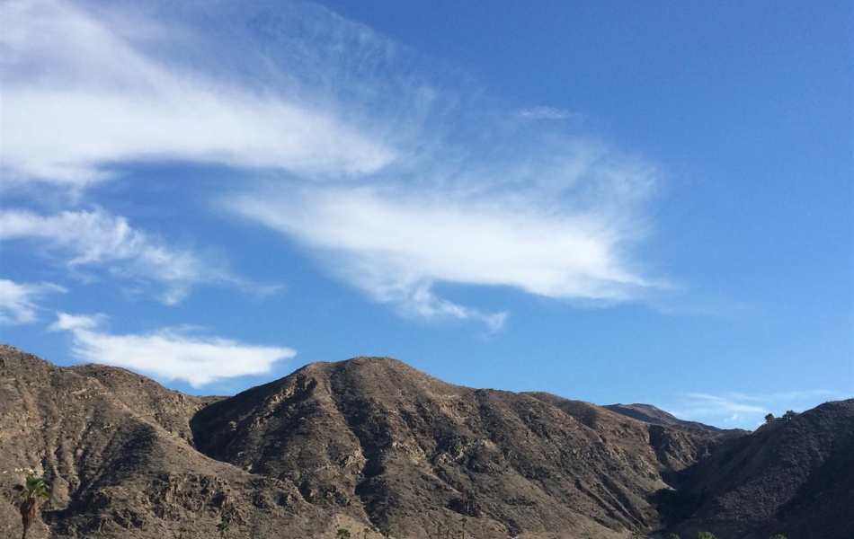 37156 Palo Verde, Cathedral City, CA 92234, 1 Bedrooms Bedrooms, ,1 BathroomBathrooms,Apartment,For Rent,Palo Verde,1055