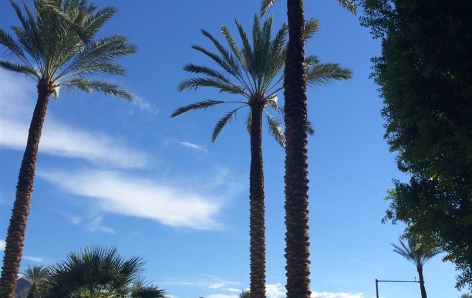 37156 Palo Verde, Cathedral City, CA 92234, 1 Bedrooms Bedrooms, ,1 BathroomBathrooms,Apartment,For Rent,Palo Verde,1055