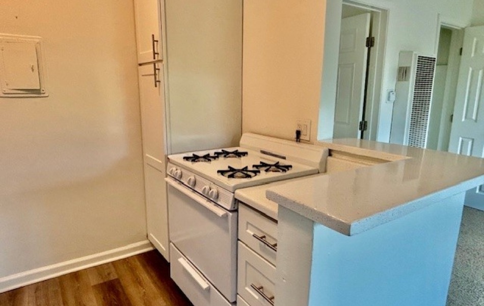 1820 Sallie, Anaheim, CA 92804, 1 Bedroom Bedrooms, ,1 BathroomBathrooms,Apartment,For Rent,Sallie,1066