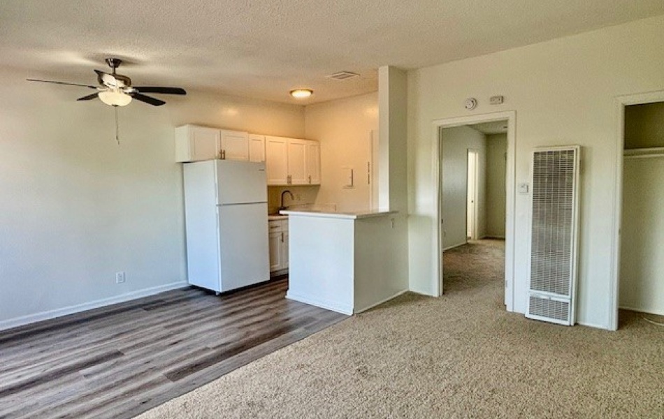 1820 Sallie, Anaheim, CA 92804, 1 Bedroom Bedrooms, ,1 BathroomBathrooms,Apartment,For Rent,Sallie,1066