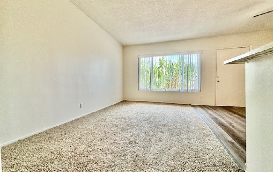 1820 Sallie, Anaheim, CA 92804, 1 Bedroom Bedrooms, ,1 BathroomBathrooms,Apartment,For Rent,Sallie,1066